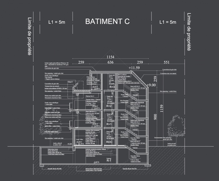 Bureaux mdicaux et logements collectifs  Lormont : Coupe btiment logements