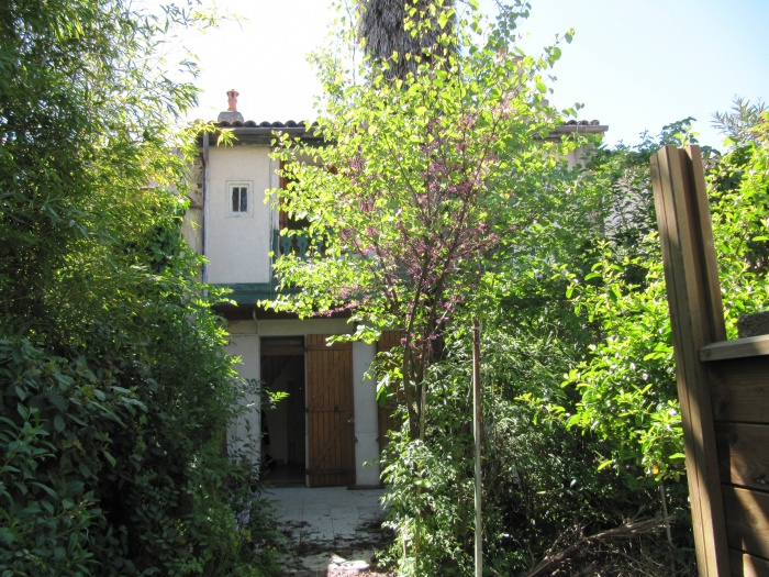 Rénovation maison en fond de jardin : IMG_3041 1.JPG